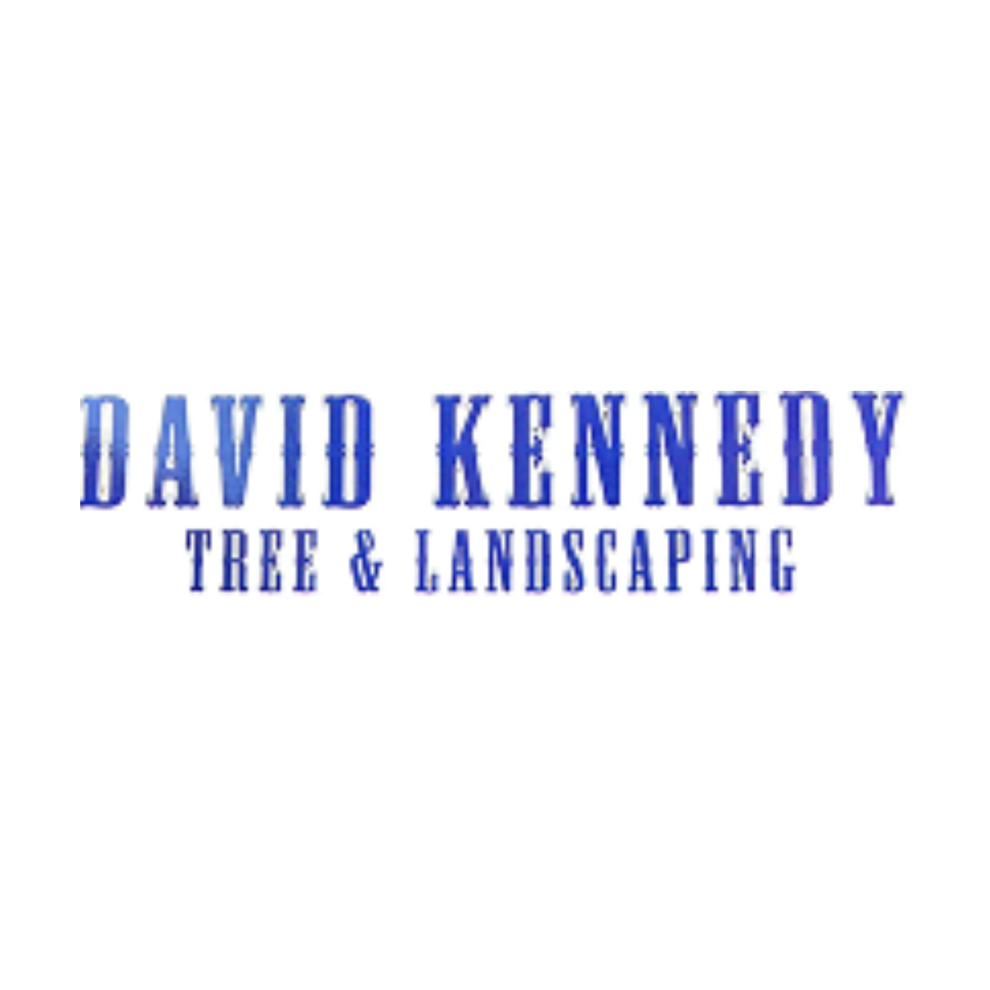 Tino's Tree Service